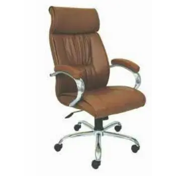 Fine Finishing Director Chair