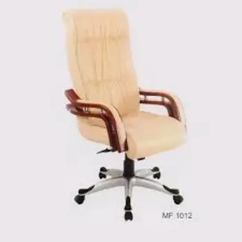 Modern Director Chair