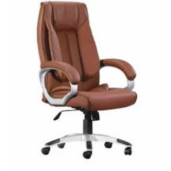 Modern Director Chair