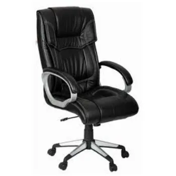 Modern Director Chair