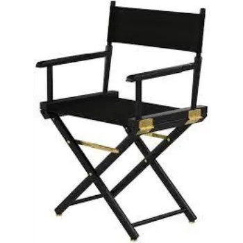 Stylish Director Chair