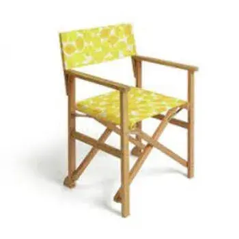 Latest Yellow Shade Director Chair