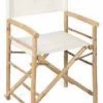 Solid Director Chair