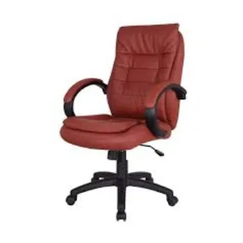 Durable Director Chair