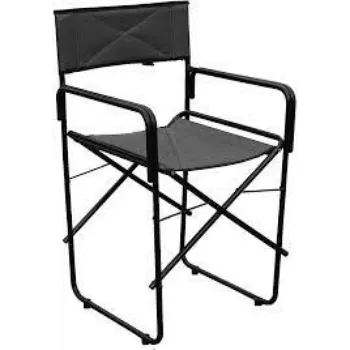 Modern Director Chair