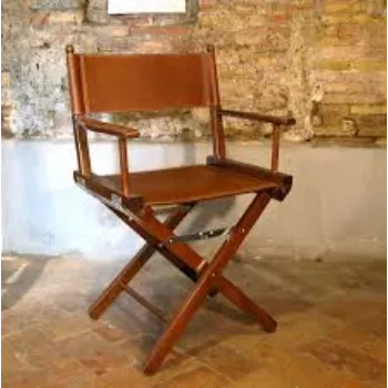 Computer Director Chair