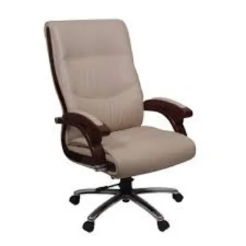 Comfortable Director Chair