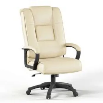 Durable Director Chair