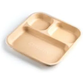  Disposable Compartment Plate