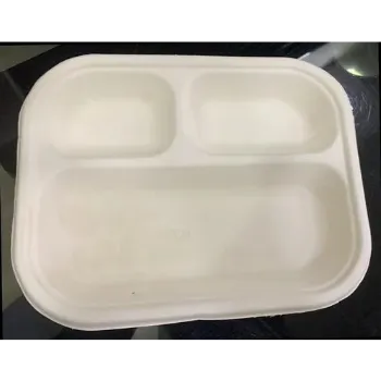  Disposable Compartment Plate
