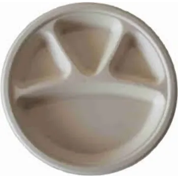  Disposable Compartment Plate