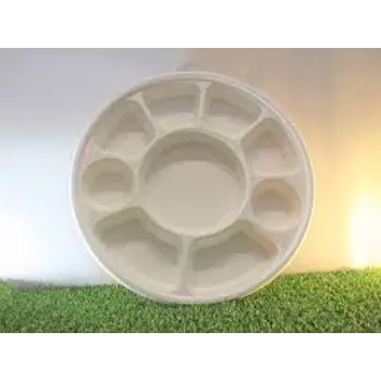 Custom Design Disposable Compartment Plate