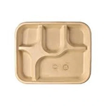 Modern Disposable Compartment Plate
