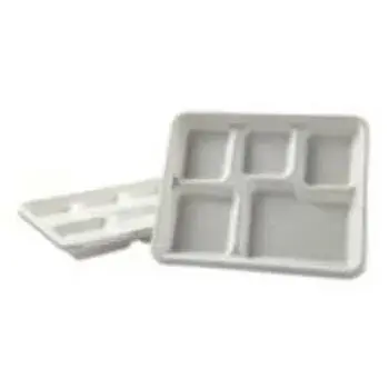 Disposable Compartment Plate