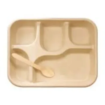 Fine Finish Disposable Compartment Plate