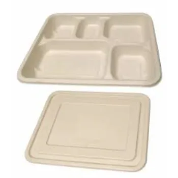 Sustainable Disposable Compartment Plate