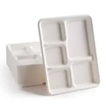 Light Weight New Disposable Compartment Plate