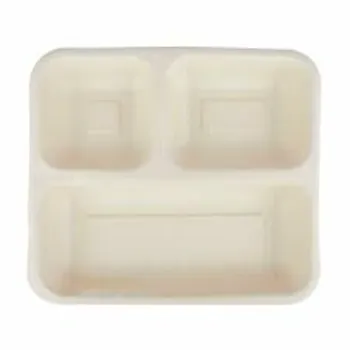 Disposable Compartment Plate
