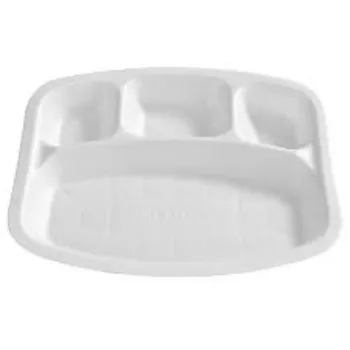 Disposable Compartment Plate