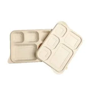High Quality Disposable Compartment Plate
