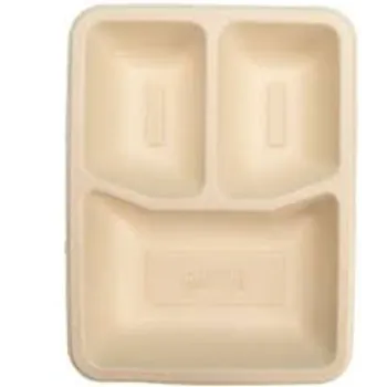 Standard Disposable Compartment Plate