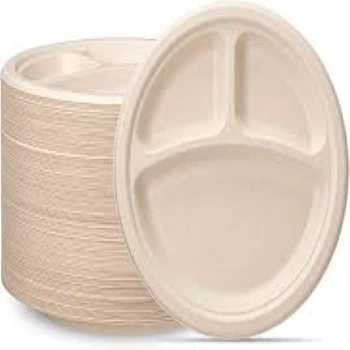 Disposable Compartment Plate
