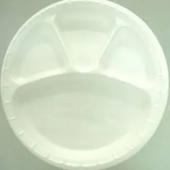 Surya Disposable Compartment Plate