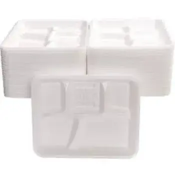 Disposable Compartment Plate