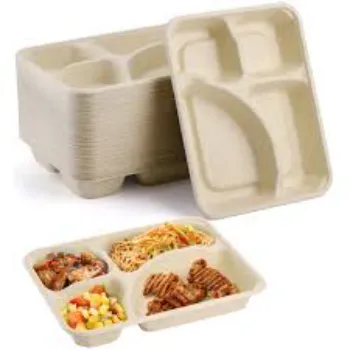 Disposable Compartment Plate