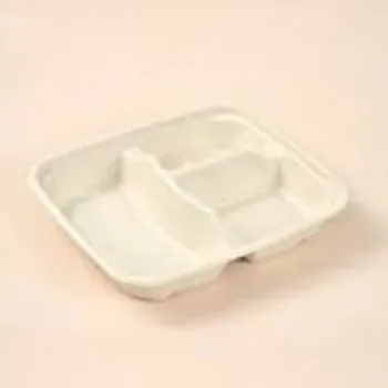 New Disposable Compartment Plate