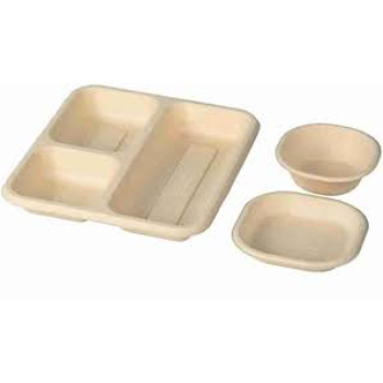 Custom Design Disposable Compartment Plate