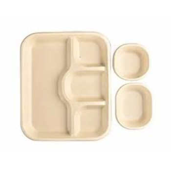 Liquid Hold Disposable Compartment Plate