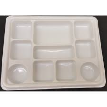 Disposable Ten Compartment Plate