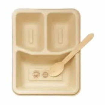 Square Disposable Compartment Plate