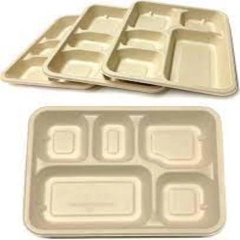 Disposable Compartment Plate