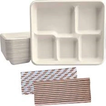 Disposable Compartment Plate