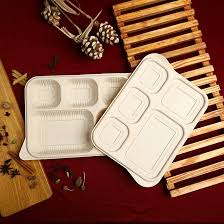  Non Polished  Disposable Compartment Plate