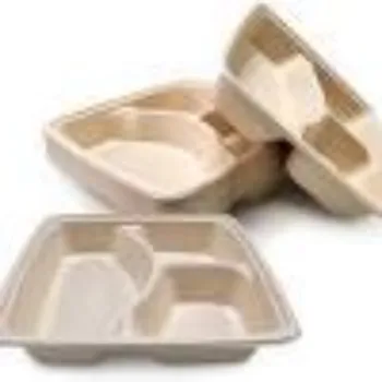 Gold Leaf Papers Disposable Compartment Plate