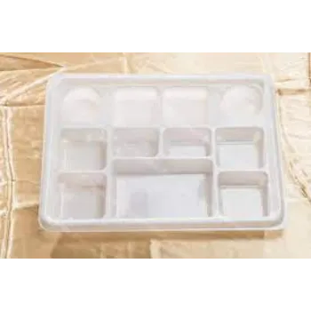 Solid Disposable Compartment Plate