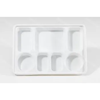 Customize Disposable Compartment Plate