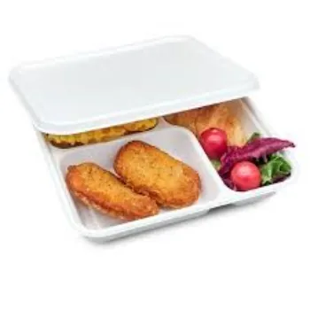 Disposable Food Tray