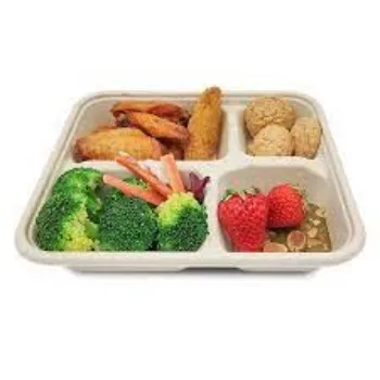Custom Design Disposable Food Tray