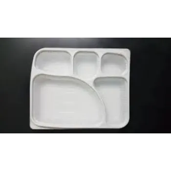 Custom Design Disposable Food Tray
