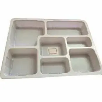 Rectangular Disposable Food Tray