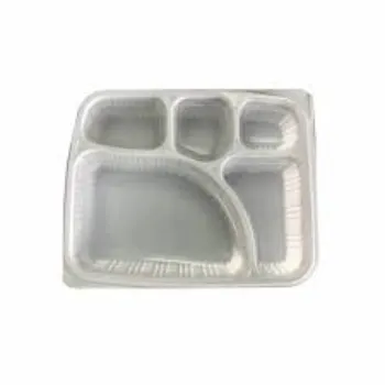 Disposable Food Tray