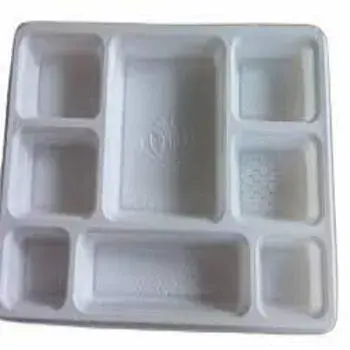 Disposable Food Tray