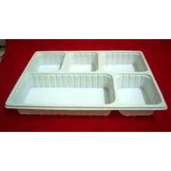 Simple Disposable Food Tray