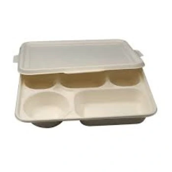 Disposable Food Tray