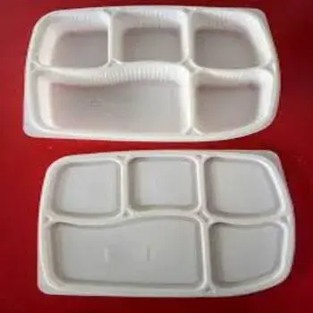 Disposable Food Tray