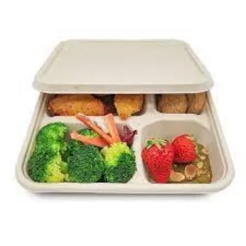 Surya Disposable Food Tray